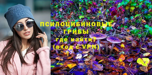 индика Бугульма