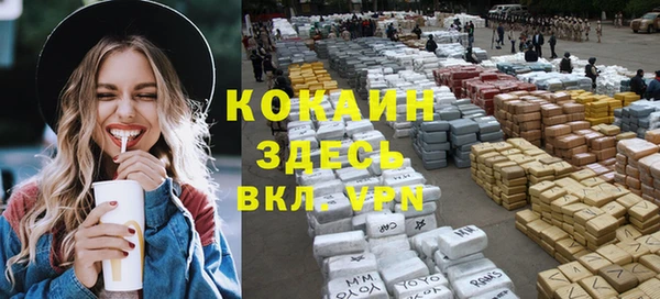 меф Вяземский