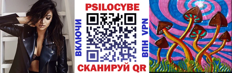 блэк спрут вход  купить закладку  Дорогобуж  Псилоцибиновые грибы Psilocybine cubensis 